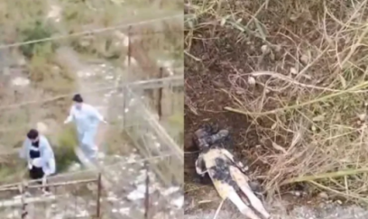 Bakıda qəbirstanlığa cadu basdıran qadınların görüntüləri yayıldı - VİDEO