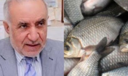 Balıq göllərinə tullantı axıdılması iddiası yenidən gündəmdə: Eyyub Hüseynov danışdı
