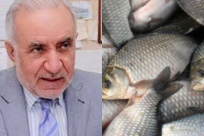 Balıq göllərinə tullantı axıdılması iddiası yenidən gündəmdə: Eyyub Hüseynov danışdı