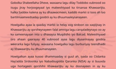 Somalidə 7 “Əş-Şəbab” üzvü öldürülüb 