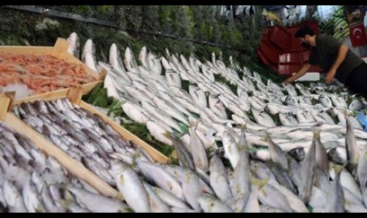 Bu balıqlar çox FAYDALIDIR - Bədəndə D vitamini DEPOLAYIR