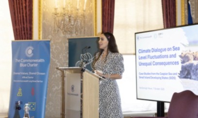 Leyla Əliyeva Londonda yüksəksəviyyəli iqlim dialoqunda iştirak edib- FOTOLAR