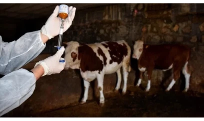 Həyəcan təbili! 12 kəndə giriş-çıxış dayandırıldı 