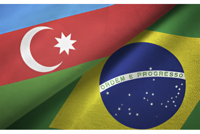 Braziliya ilə təhsillə bağlı saziş təsdiqləndi 