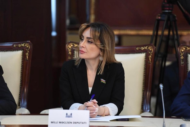 “Azərbaycan bütün regionlarda sabitliyi, sülhü, təhlükəsizliyi dəstəkləyir”- Nigar Məmmədova