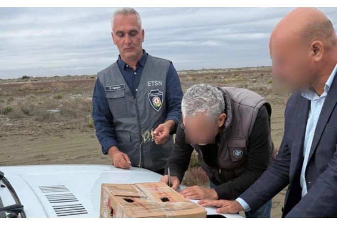 Neftçalada qanunsuz ov edən şəxs saxlanıldı