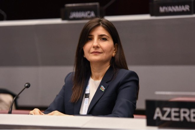 "Ukrayna-Rusiya cəbhəsində gərginlik artır" - Sevil Mikayılova