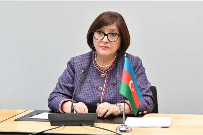Sahibə Qafarova: Azərbaycan və Türkiyə beynəlxalq məsələlərdə daim eyni mövqedən çıxış edirlər