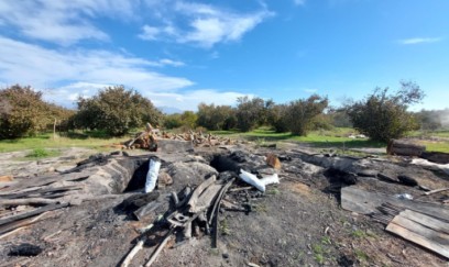 Oğuzda qanunsuz kömür quyuları aşkarlanıb 