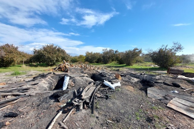 Oğuzda qanunsuz kömür quyuları aşkarlanıb