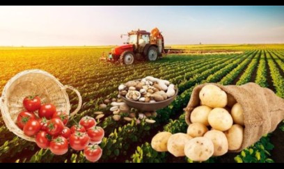 Türkiyədə kənd təsərrüfatı böhrana girir - Meyvə istehsalı 30% azalır