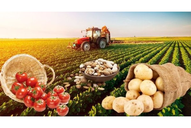 Türkiyədə kənd təsərrüfatı böhrana girir - Meyvə istehsalı 30% azalır