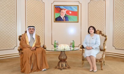 Milli Məclis və BƏƏ Federal Milli Şurasının sədrlərinin görüşü olub 