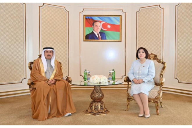 Milli Məclis və BƏƏ Federal Milli Şurasının sədrlərinin görüşü olub