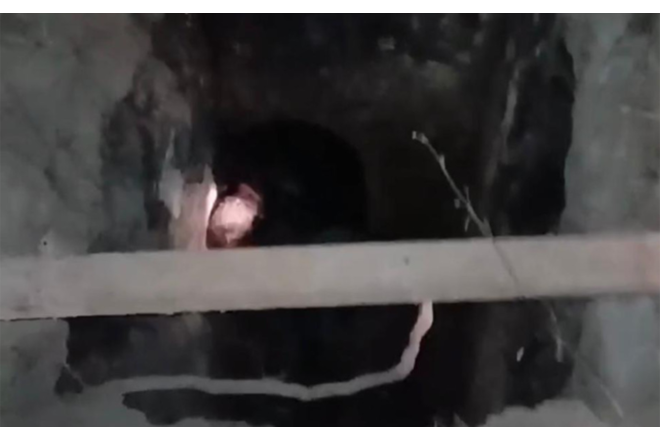 65 yaşlı kişi 3 metrlik quyuya düşdü 