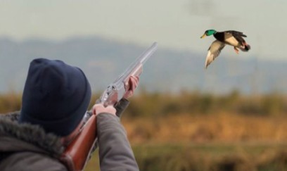 Astarada qanunsuz ov edən şəxslər saxlanılıblar 