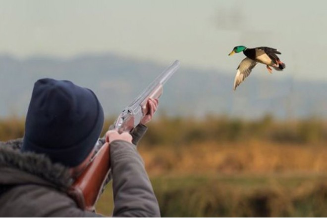 Astarada qanunsuz ov edən şəxslər saxlanılıblar 