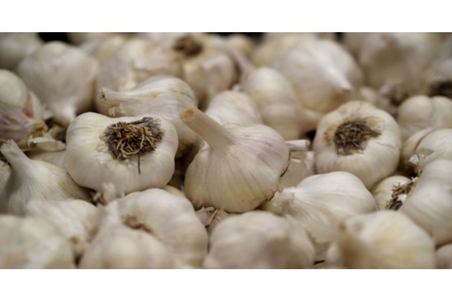 Gündə 2 diş: Ömrü 10 il uzada bilər...