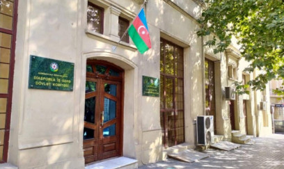 Diaspor Komitəsi dünya üzrə 800-dən çox layihəni reallaşdırıb - Rəsmi açıqlama