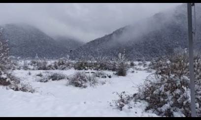 Bu ərazilərə qar yağır - FAKTİKİ HAVA