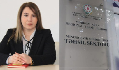 Sevinc Həsənovaya şiddətli töhmət verildi