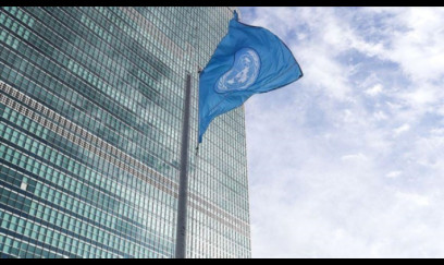 Dünya meşələri ciddi təhlükə altındadır - BMT