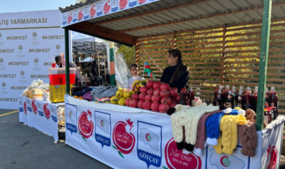 Göyçayda ənənəvi "Nar Festivalı" keçirildi - FOTOLAR