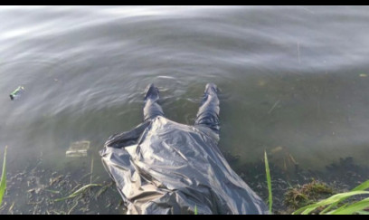 Su anbarında 74 cəsəd tapıldı - Təfərrüatlar sirr olaraq saxlanılır