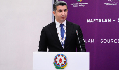 Vüqar Novruzov Göygölün icra başçısı oldu