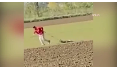 Bələdiyyə işçisi narkotik çəkib itə əziyyət verdi