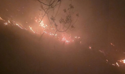 Türkiyədə meşəyə ildırım düşüb, yanğın başlayıb 