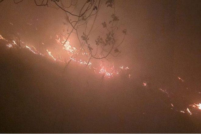 Türkiyədə meşəyə ildırım düşüb, yanğın başlayıb 