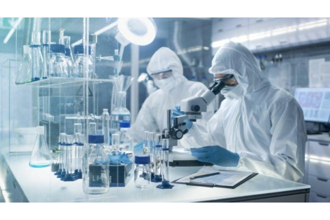 Bu virus Lupus xəstəliyinə yol aça bilər 