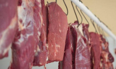 Dana ətində at əti izləri tapıldı 