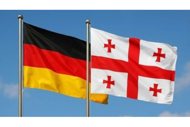 Gürcüstan-Almaniya münasibətlərində gərginlik: Səfir aksiyaya qatıldı