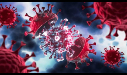 Almaniyanın kanalizasiya sistemində poliovirus aşkarlanıb 