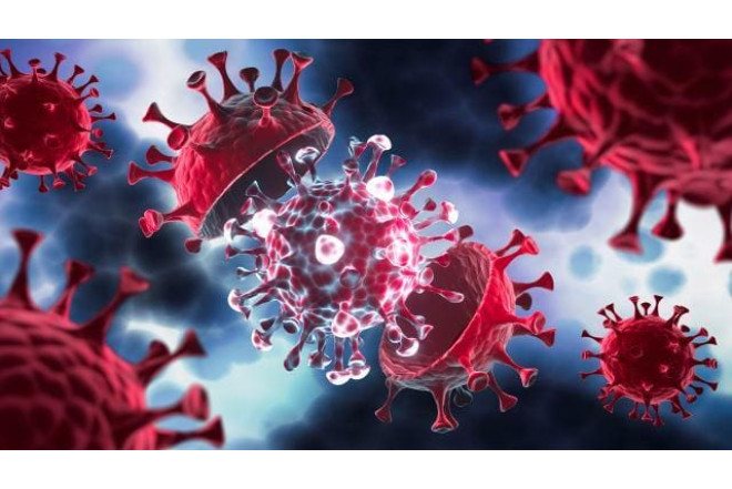 Almaniyanın kanalizasiya sistemində poliovirus aşkarlanıb 