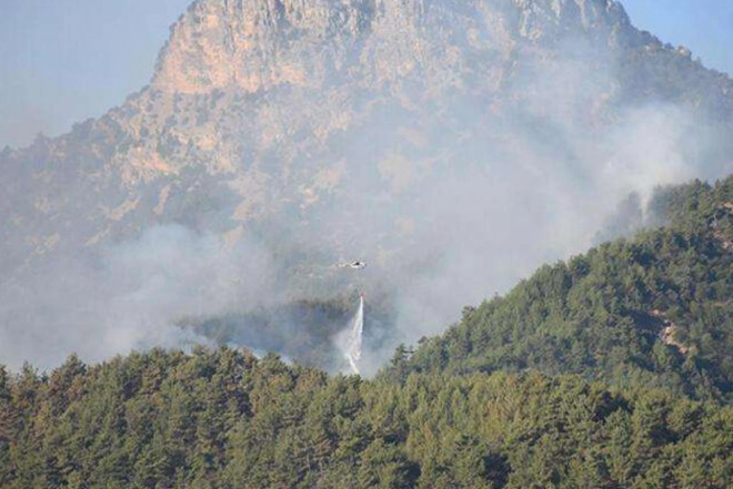 Azərbaycan-Ermənistan sərhədində baş verən YANĞIN SÖNDÜRÜLDÜ