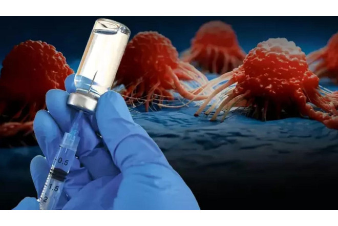 ABŞ-də super peyvənd xərçəngin yayılmasını dayandırdı 