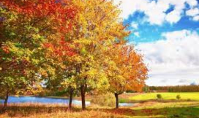 Sabah hava necə olacaq? 