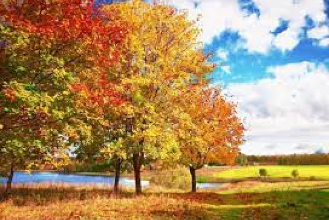 Sabah hava necə olacaq? 