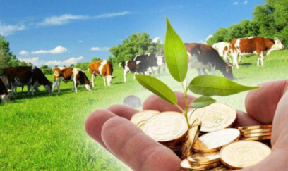 Fermer 20 manat təklif edir, işçi isə 30 manat İSTƏYİR- Kim haqlıdır?