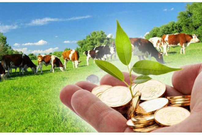 Fermer 20 manat təklif edir, işçi isə 30 manat İSTƏYİR- Kim haqlıdır?