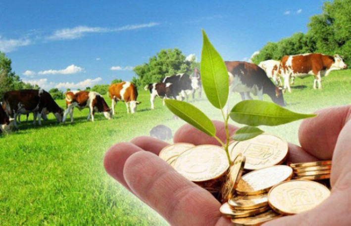 Fermer 20 manat təklif edir, işçi isə 30 manat İSTƏYİR- Kim haqlıdır?