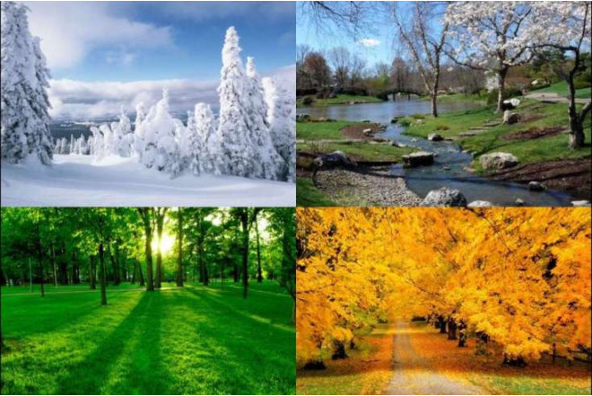 2026-cı ildə fəsillərin Azərbaycana daxil olma vaxtları açıqlanıb