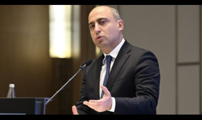 Nazir jurnalistlər və ekspertlərin fəaliyyətini tənqid etdi