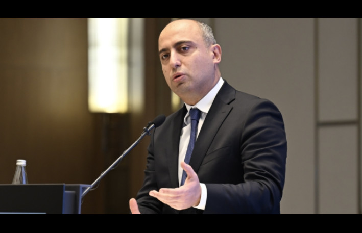 Nazir jurnalistlər və ekspertlərin fəaliyyətini tənqid etdi