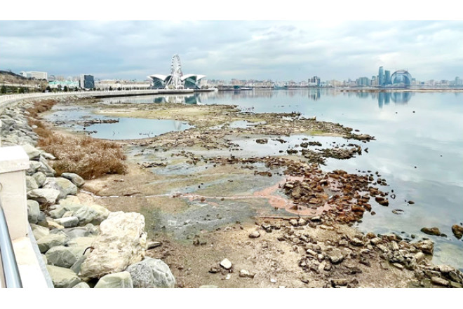 Xəzər dənizin geri çəkilməsinin hansı fəsadları olacaq? - Ekoloqdan AÇIQLAMA