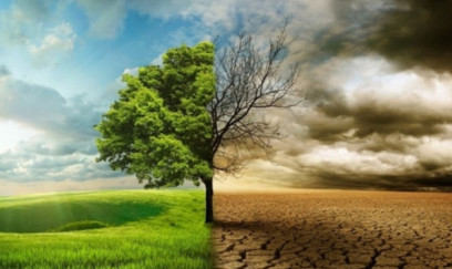 G20-də iqlimi qorumaq üçün səyləri artırmağa çağırış edilib