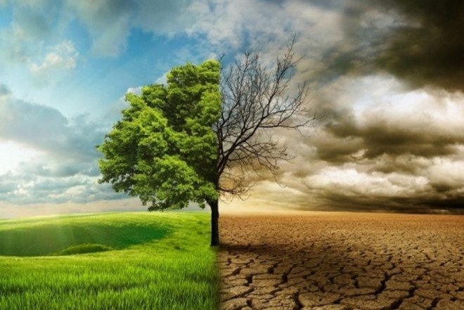 G20-də iqlimi qorumaq üçün səyləri artırmağa çağırış edilib